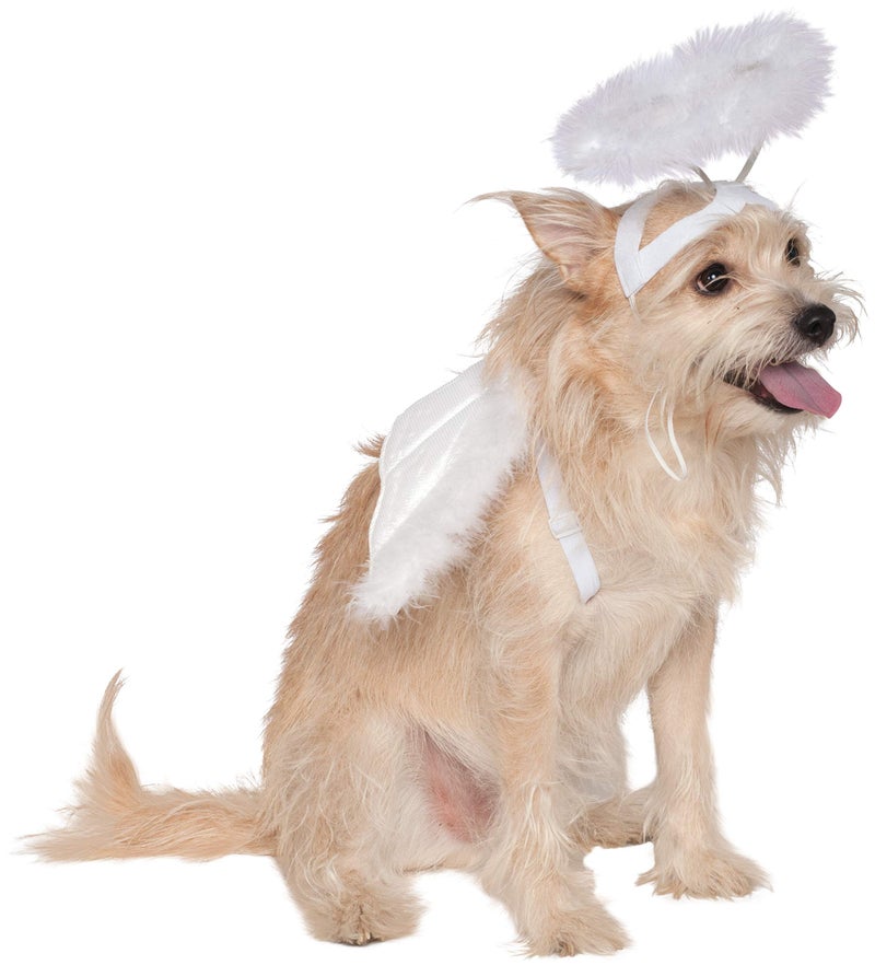 Rubies Angel Pet Halo & Wing Set for Dogs or Cats, S/M